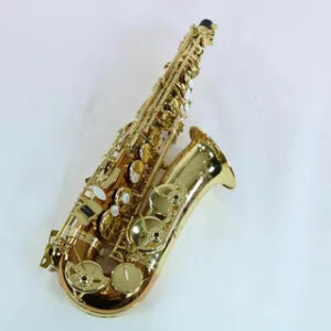 Best Selmer Saxophone
